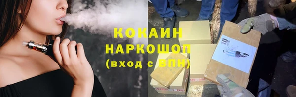 СК Каменногорск
