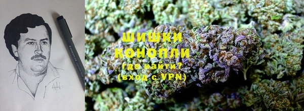 трава Инсар