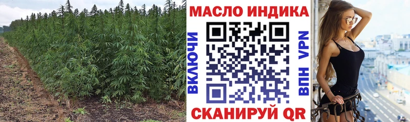 Купить закладки  Гаврилов-Ям  ТГК вейп 